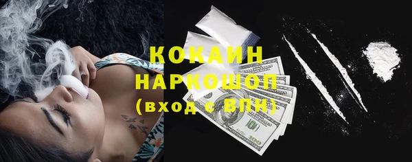 соль ск Богданович