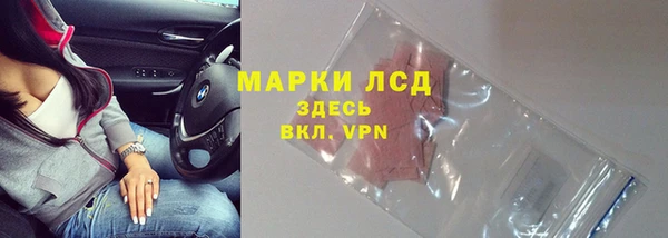 дживик Богородск
