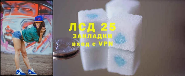 дживик Богородск