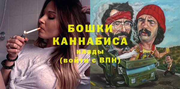 PSILOCYBIN Богородицк
