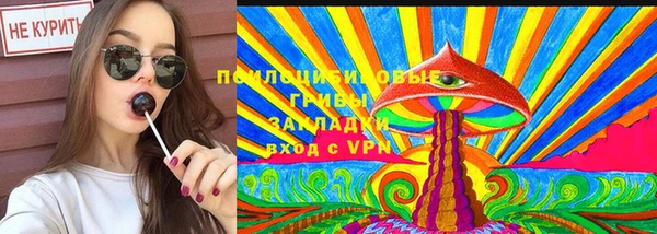 дживик Богородск
