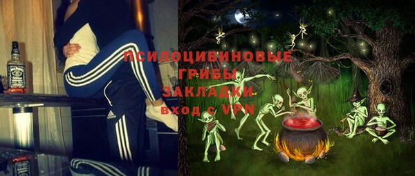 соль ск Богданович