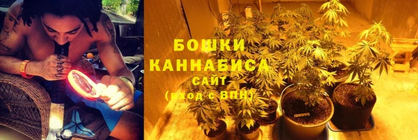 соль ск Богданович
