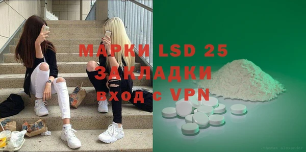 PSILOCYBIN Богородицк