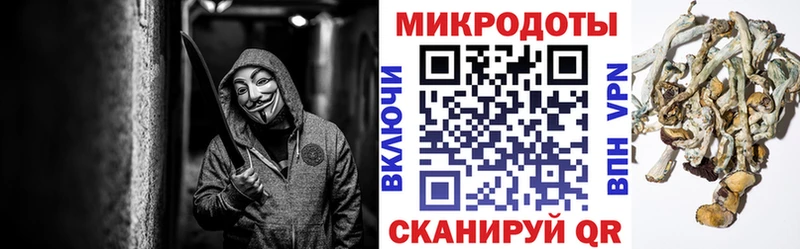 продажа наркотиков  Сланцы  Псилоцибиновые грибы Magic Shrooms 