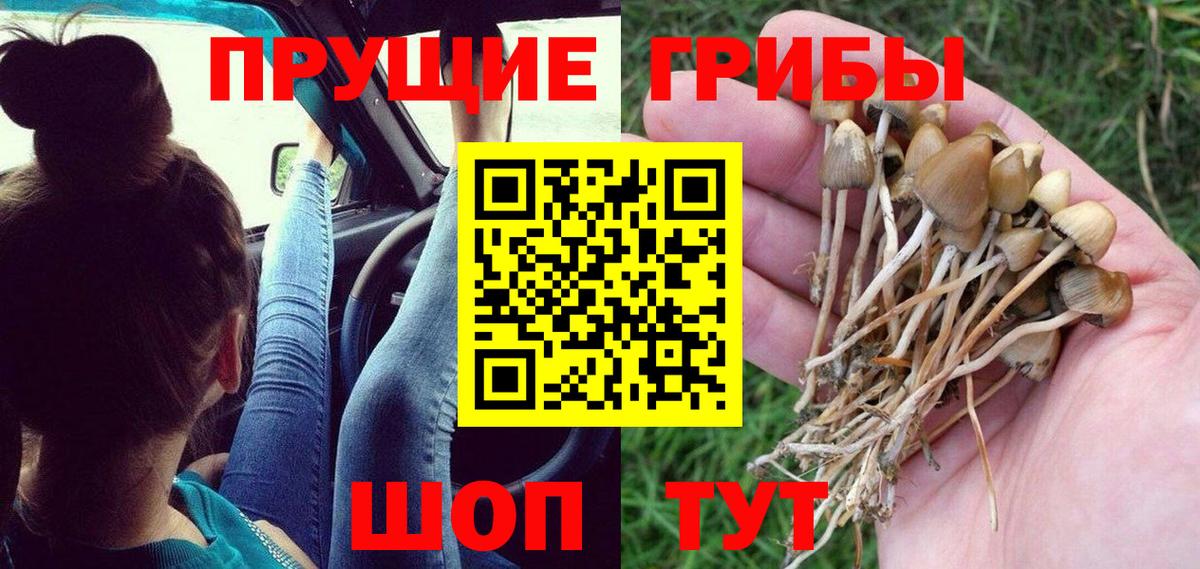 Сланцы  Галлюциногенные грибы Magic Shrooms  Псилоцибиновые грибы Psilocybe  Вход с VPN 